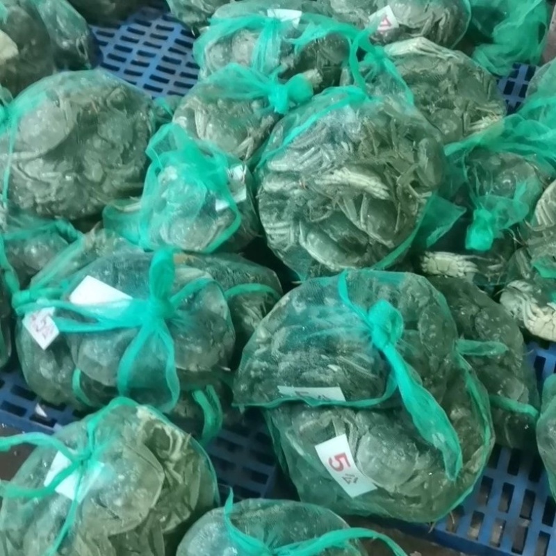 【大闸蟹】产地直发规格齐全大量大货