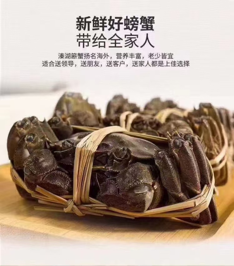【大闸蟹】产地直发规格齐全大量大货