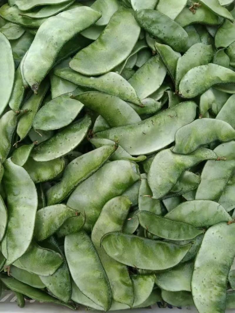 青梅豆口感好周口市沈丘县梅豆诚信经营欢迎采购