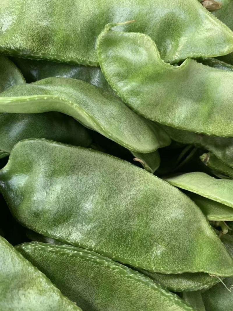 青梅豆口感好周口市沈丘县梅豆诚信经营欢迎采购