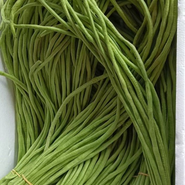 青皮长豆角豇豆角嫩直产地直发品质保障量大优惠