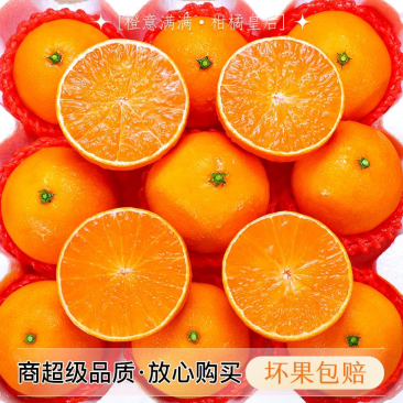 正宗四川眉山爱媛果冻橙【一件代发】秒回秒出大量促销