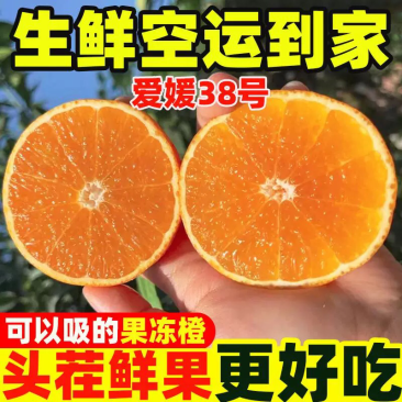 爱媛38号果冻橙专业电商代发，只做一件代发