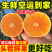 爱媛38号果冻橙专业电商代发，只做一件代发