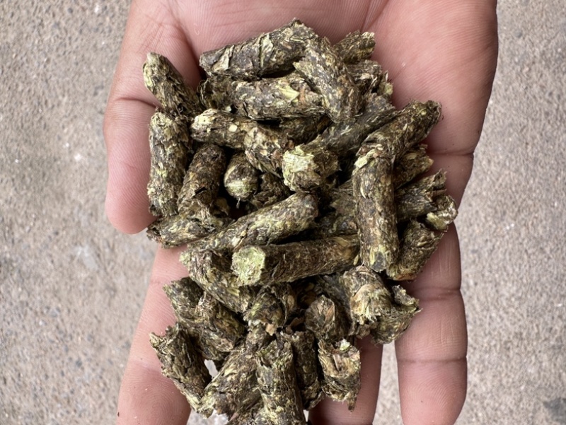 纯花生秧熟化颗粒，适口性好，牛羊马驴鹿等动物饲料
