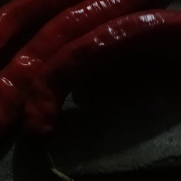 干辣椒