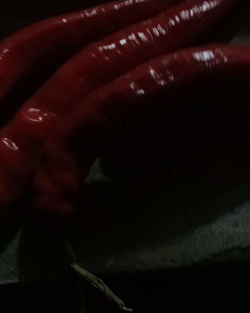 干辣椒