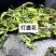 灯盏花干货鲜货2024年灯盏花中药材原材料量大价优基地