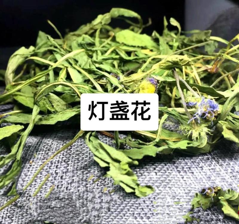 灯盏花干货鲜货2024年灯盏花中药材原材料量大价优基地