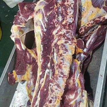 牛骨头。纯草地牛手把肉，骨头带肉大，龙骨和棒骨还有漏斗骨