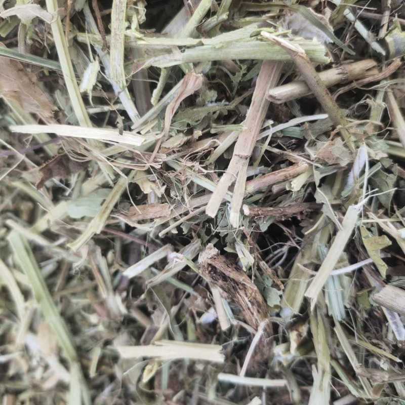 一级花生秧牛羊饲料，无土无霉变保证质量，欢迎咨询