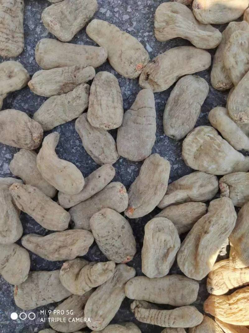 云南昭通天麻（一件代发）规格齐全，可视频看货代发全国