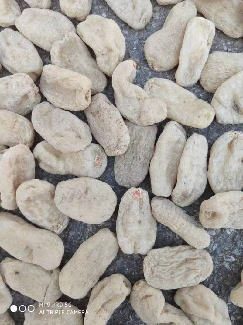 云南昭通天麻（一件代发）规格齐全，可视频看货代发全国