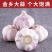 【实力】山东金乡大蒜对接全国商超电商社区团购供应链