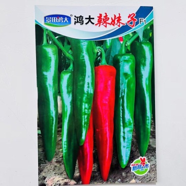 鸿大辣妹子杂交辣椒种子早熟皮色深绿青红椒两用节节有果辣味