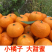 南丰蜜桔广西蜜橘蜜桔产地直供可视频看货欢迎来电采购