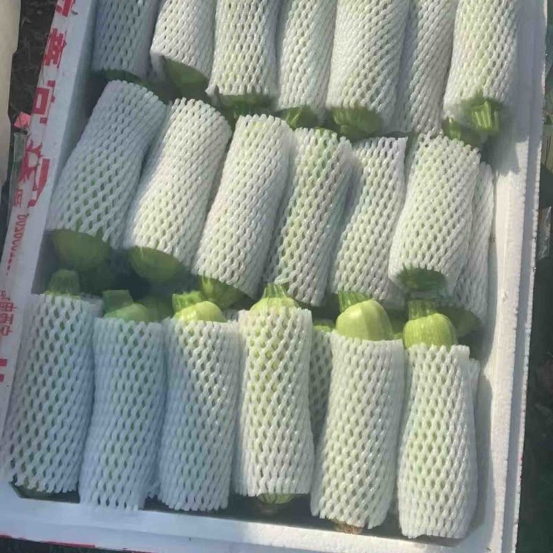 精品西葫芦