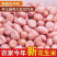 《白沙花生米》/自家种植，大量批发/供应市场商场小店