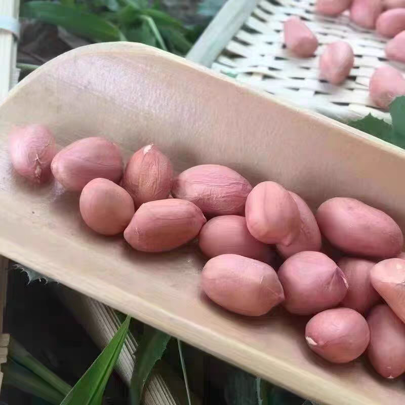 《白沙系列》白沙花生米/河南花生/自家货源/价格协商