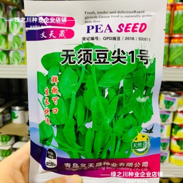鲜嫩无须豌豆苗种子四季芽苗菜籽豌豆尖种子阳台盆栽种籽味甜
