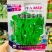 鲜嫩无须豌豆苗种子四季芽苗菜籽豌豆尖种子阳台盆栽种籽味甜