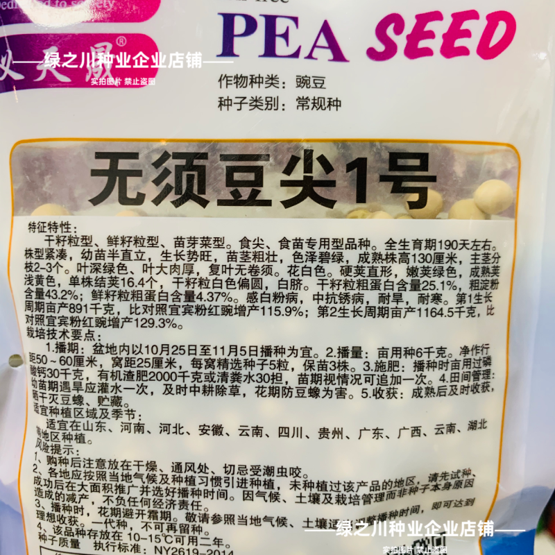 鲜嫩无须豌豆苗种子四季芽苗菜籽豌豆尖种子阳台盆栽种籽味甜