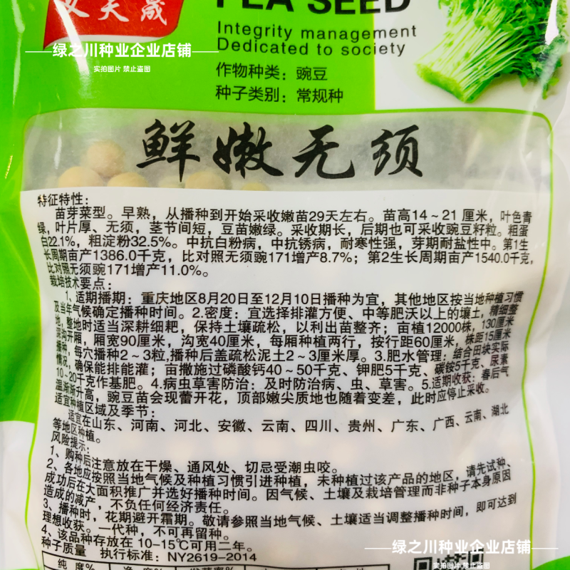 鲜嫩无须豌豆苗种子四季芽苗菜籽豌豆尖种子阳台盆栽种籽味甜