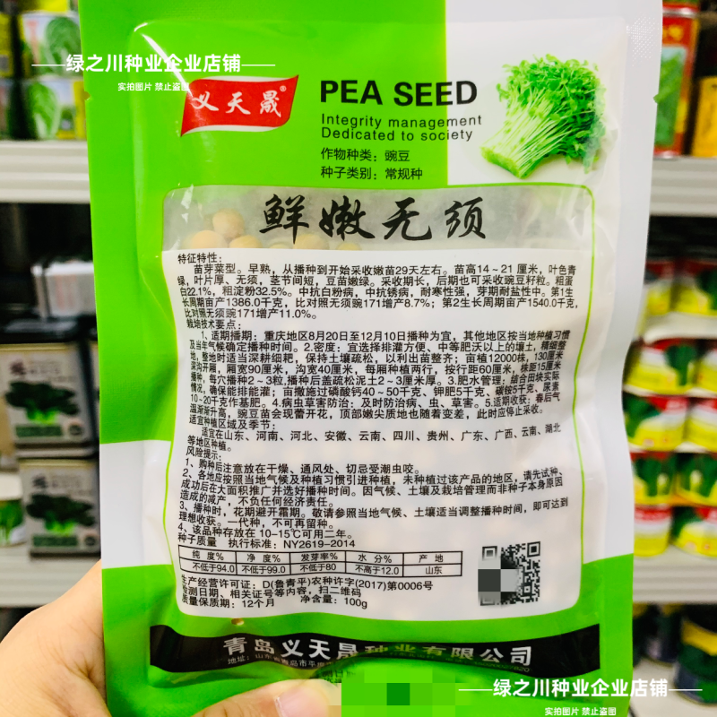鲜嫩无须豌豆苗种子四季芽苗菜籽豌豆尖种子阳台盆栽种籽味甜
