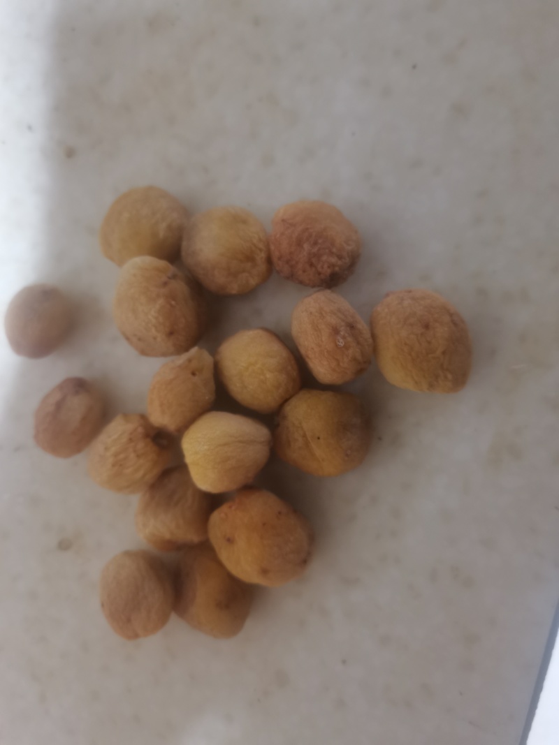 阿富汗小白杏干