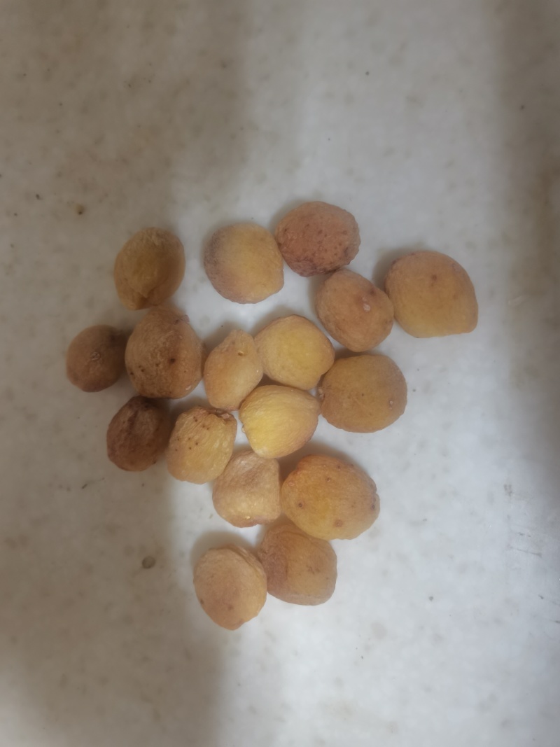 阿富汗小白杏干