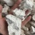云南野生茯苓中药材大白茯苓块正宗茯苓坨白茯苓