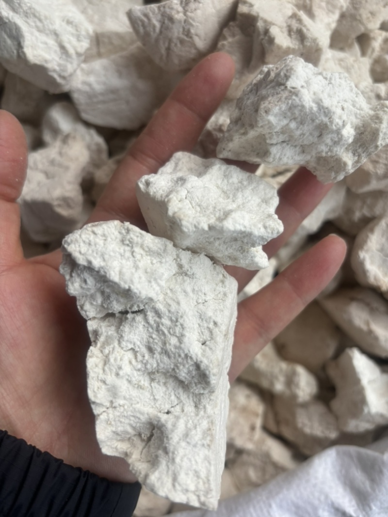 云南野生茯苓中药材大白茯苓块正宗茯苓坨白茯苓