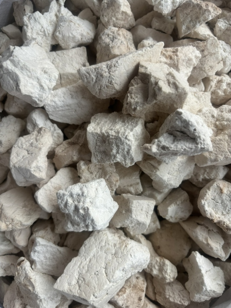 云南野生茯苓中药材大白茯苓块正宗茯苓坨白茯苓