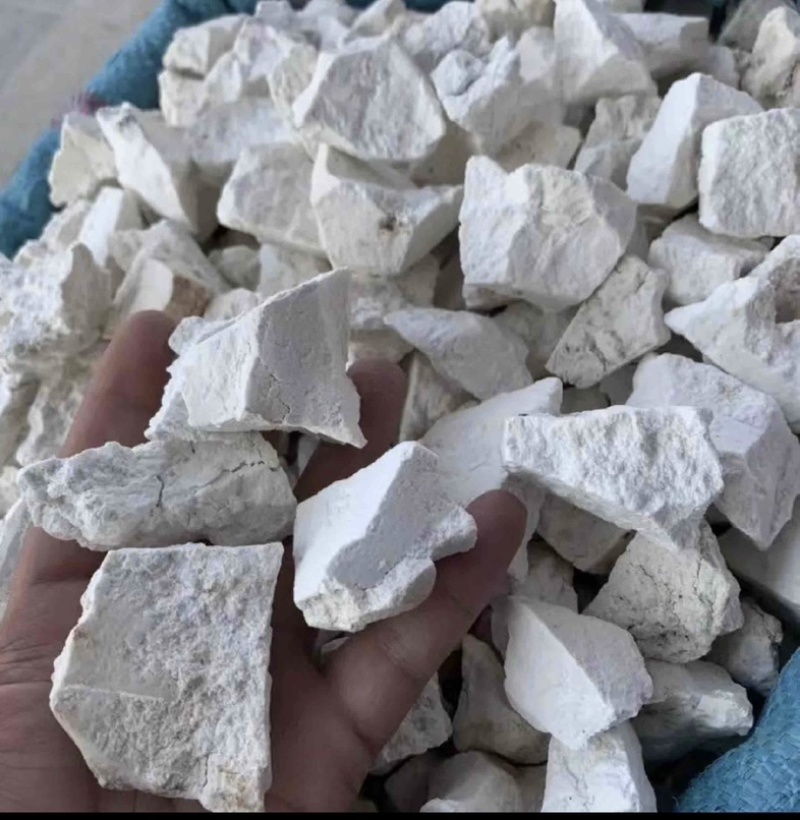 云南野生茯苓中药材大白茯苓块正宗茯苓坨白茯苓