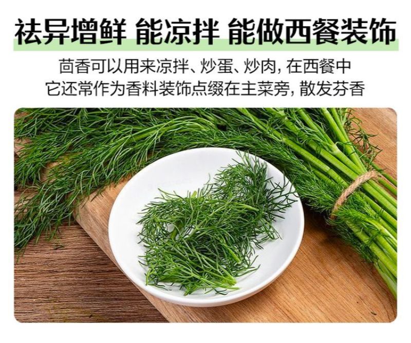 精品推荐永年茴香可产地直销视频看货质量保证