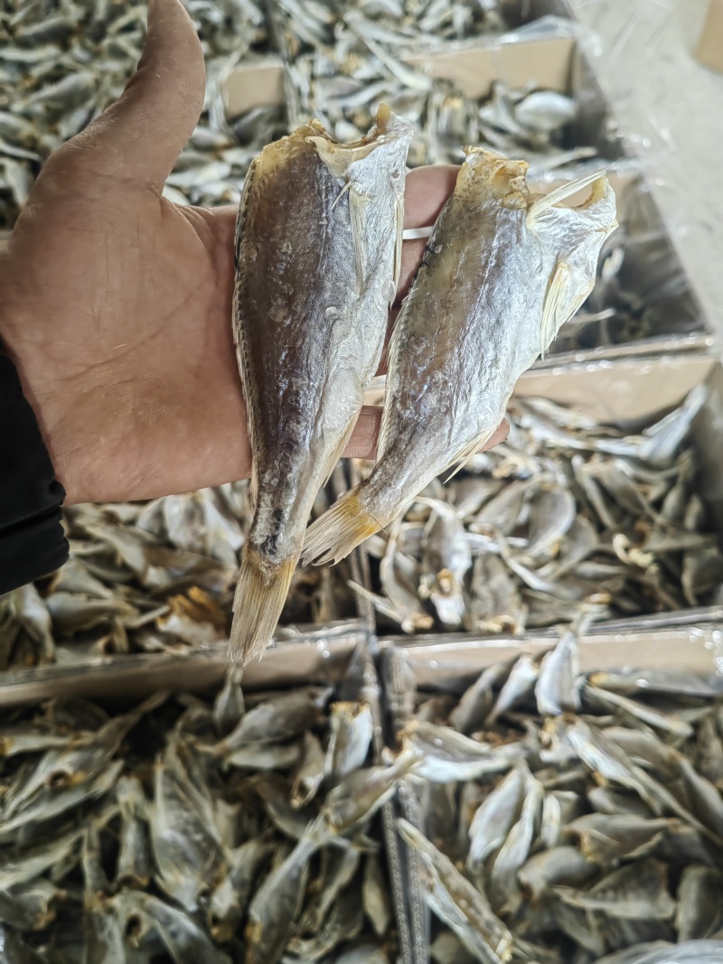 【源头批发】黄花鱼滑仔鱼小黄鱼咸鱼干