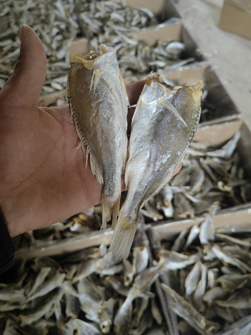 【源头批发】黄花鱼滑仔鱼小黄鱼咸鱼干
