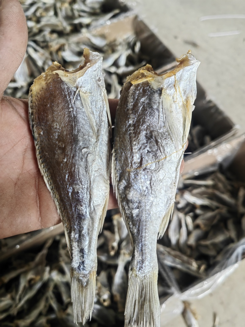 【源头批发】黄花鱼滑仔鱼小黄鱼咸鱼干