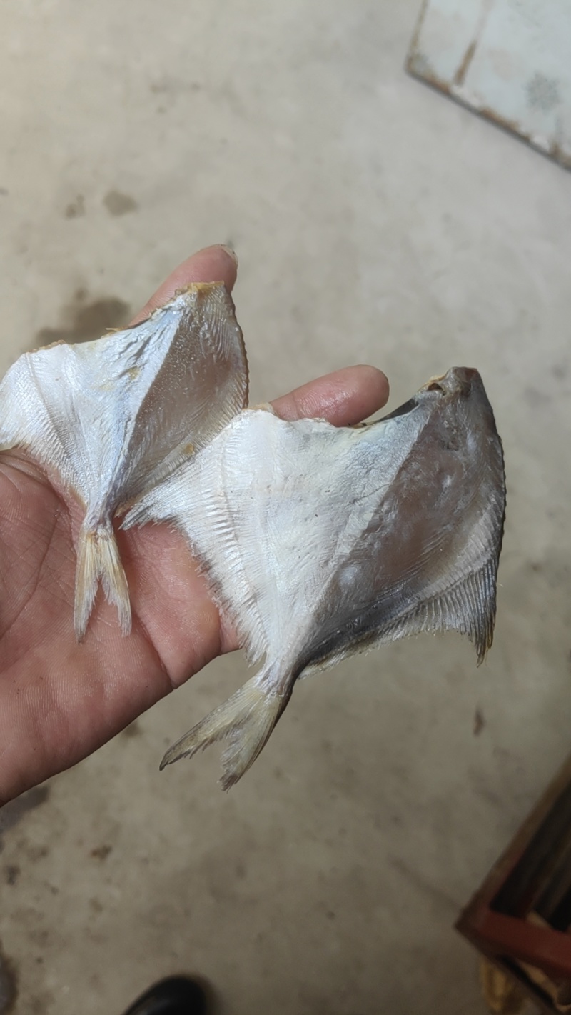 【店家推荐】小白鲳鱼咸鱼干小鱼干