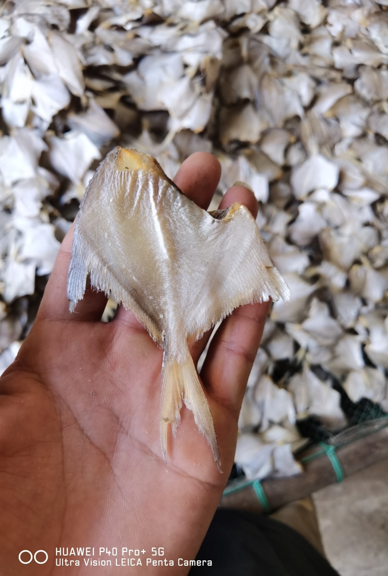 【店家推荐】小白鲳鱼咸鱼干小鱼干
