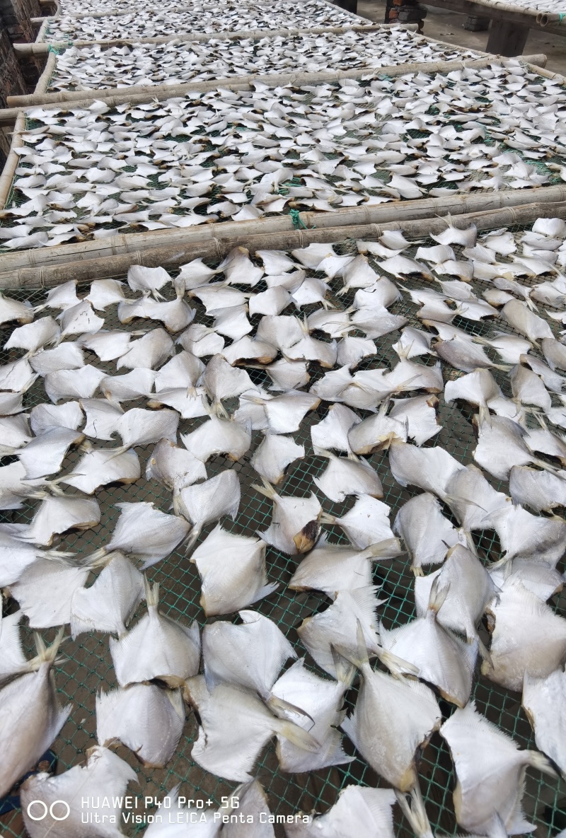 【店家推荐】小白鲳鱼咸鱼干小鱼干