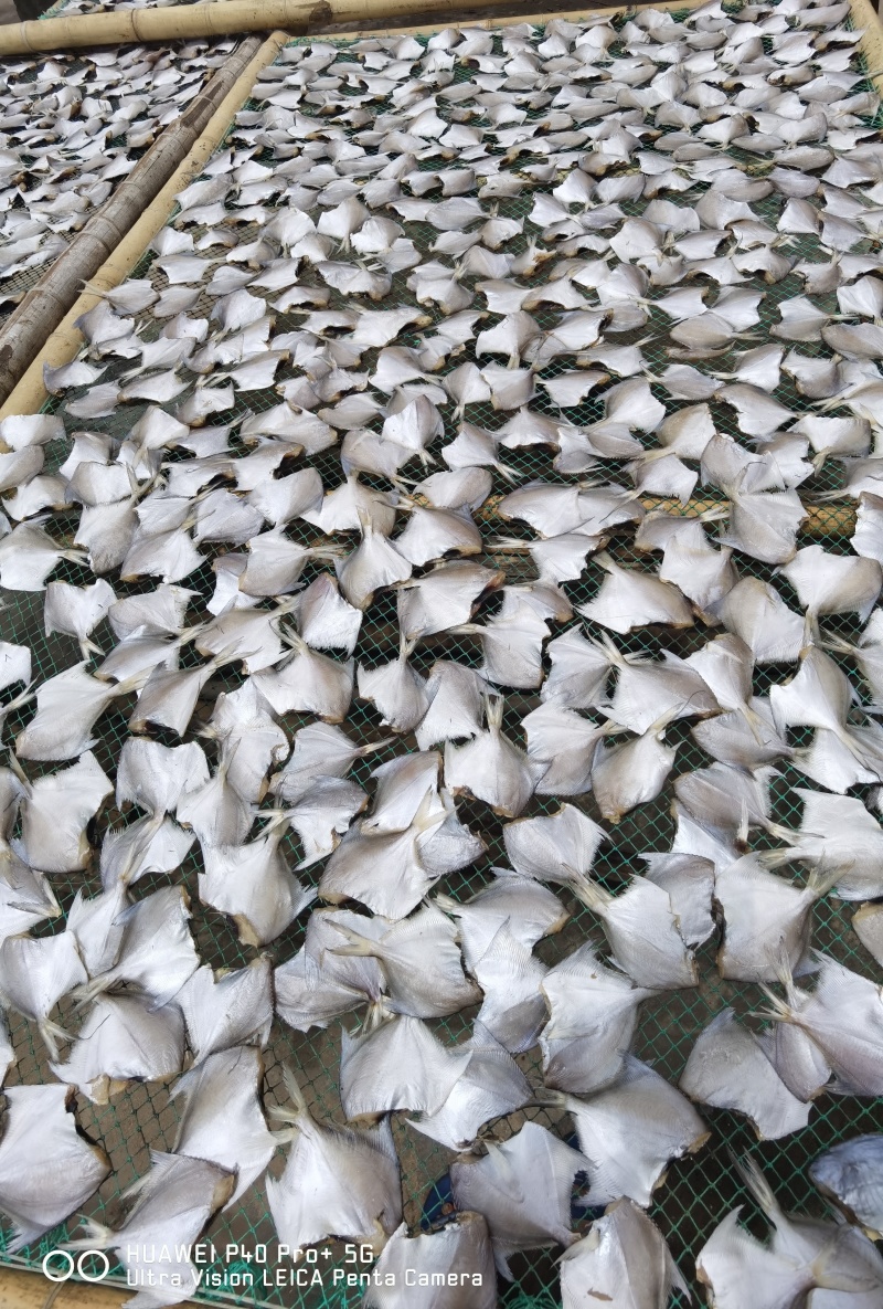 【店家推荐】小白鲳鱼咸鱼干小鱼干
