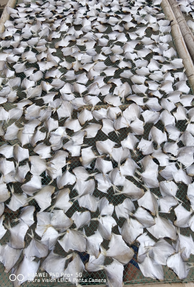 【店家推荐】小白鲳鱼咸鱼干小鱼干