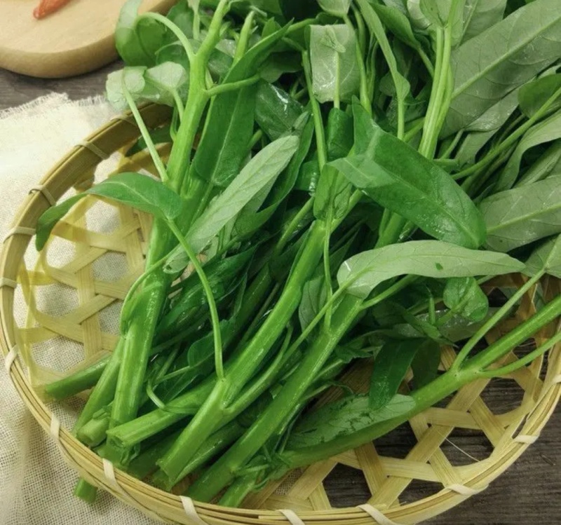 河北邯郸空心菜产地发货质量保证量大从优对接全国
