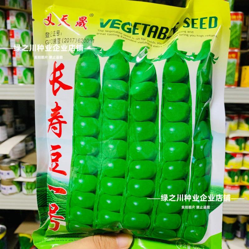 长寿仁豌豆种子甜脆长寿豆一号水果豌豆种子大荚青豆耐寒高产