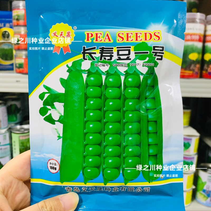 长寿仁豌豆种子甜脆长寿豆一号水果豌豆种子大荚青豆耐寒高产