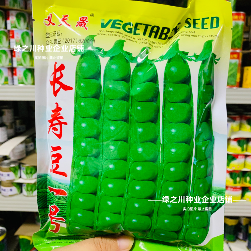 长寿仁豌豆种子甜脆长寿豆一号水果豌豆种子大荚青豆耐寒高产