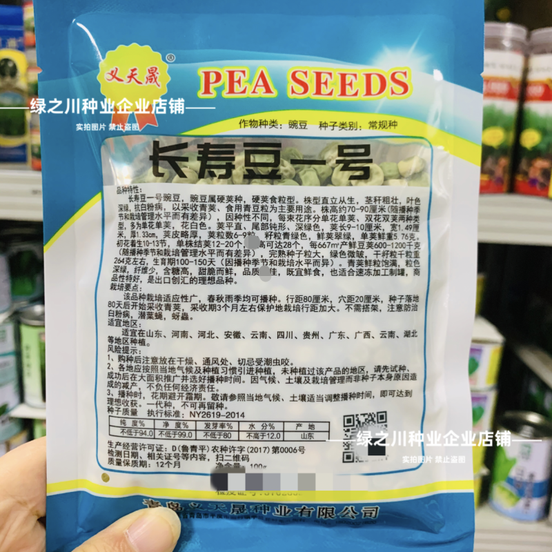 长寿仁豌豆种子甜脆长寿豆一号水果豌豆种子大荚青豆耐寒高产