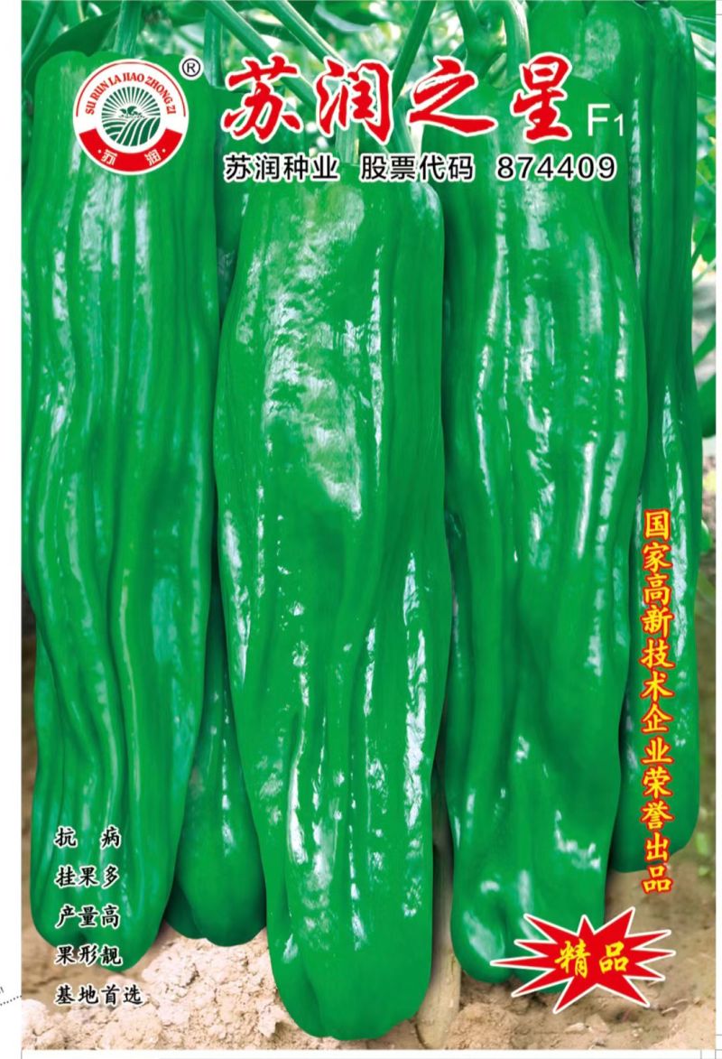 薄皮椒种子