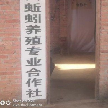 基地直销